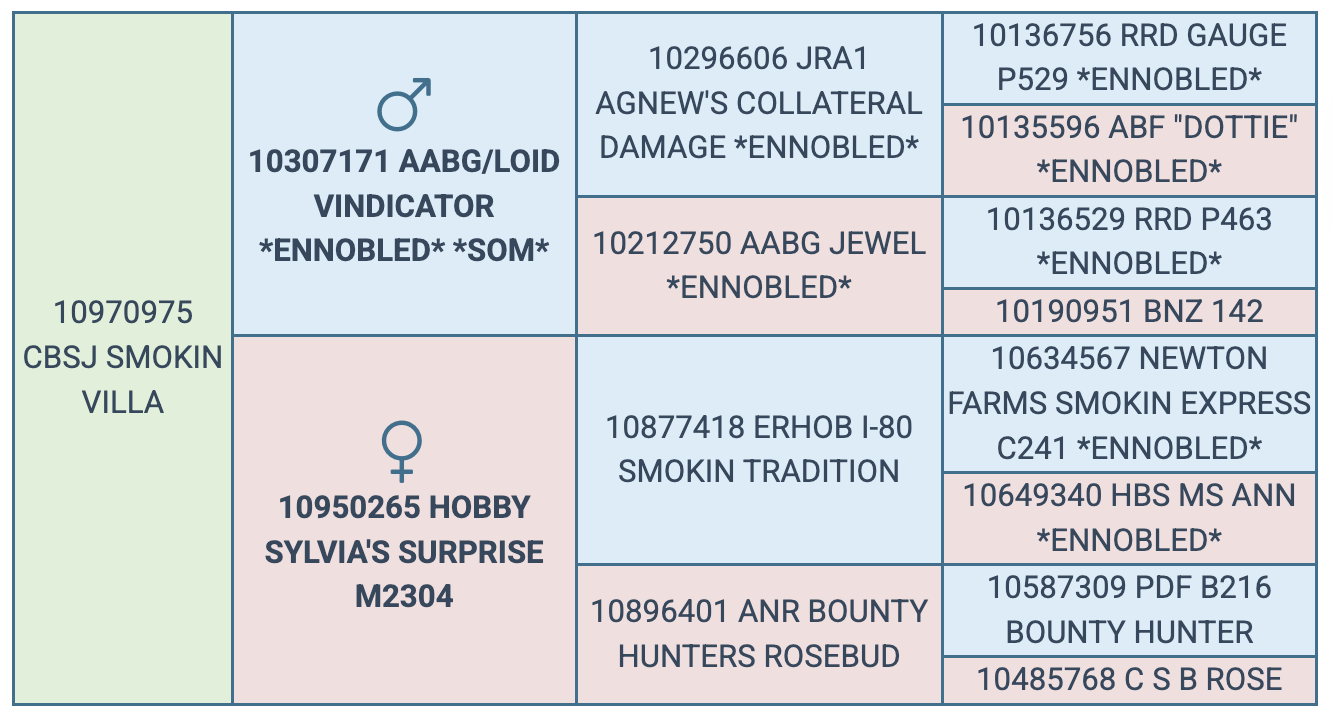 Screenshot 2025-08-02 at 8.54.59 PM