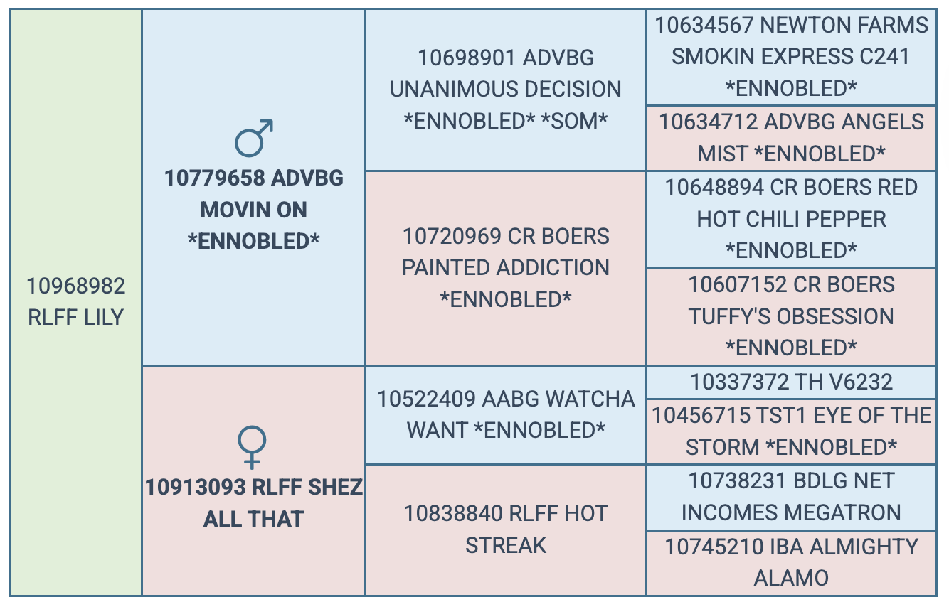 Screenshot 2025-08-02 at 8.59.46 PM