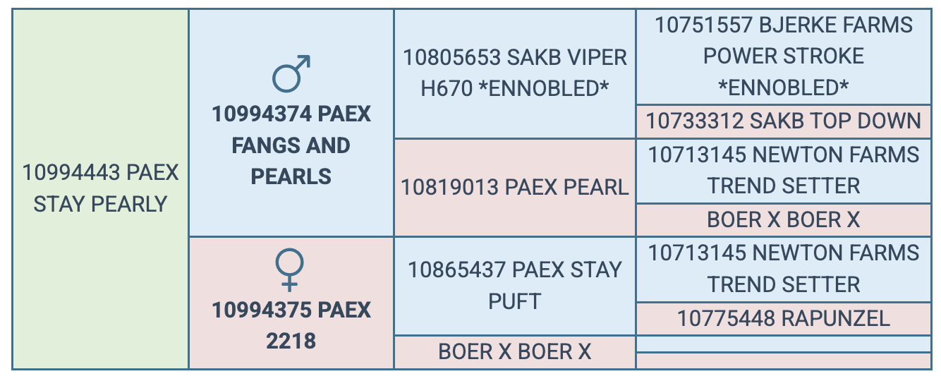 Screenshot 2025-08-02 at 9.02.06 PM