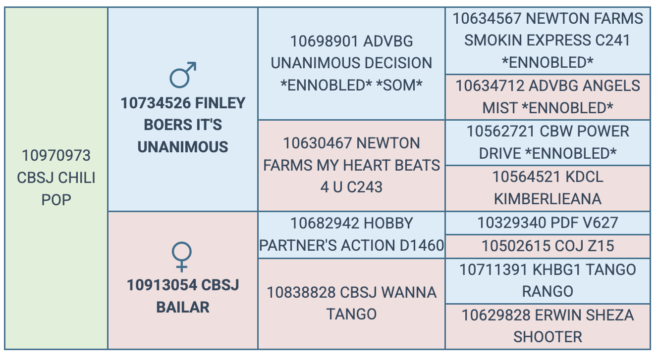 Screenshot 2025-08-02 at 9.06.33 PM