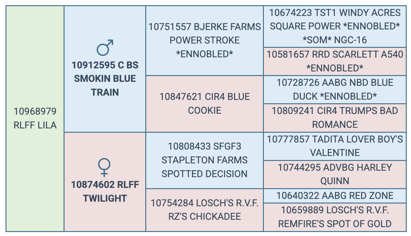 Screenshot 2025-08-02 at 9.12.40 PM