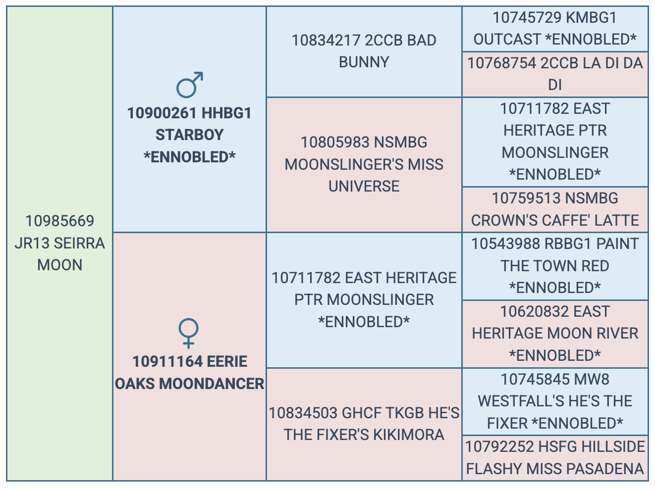 Screenshot 2025-08-04 at 8.12.27 AM