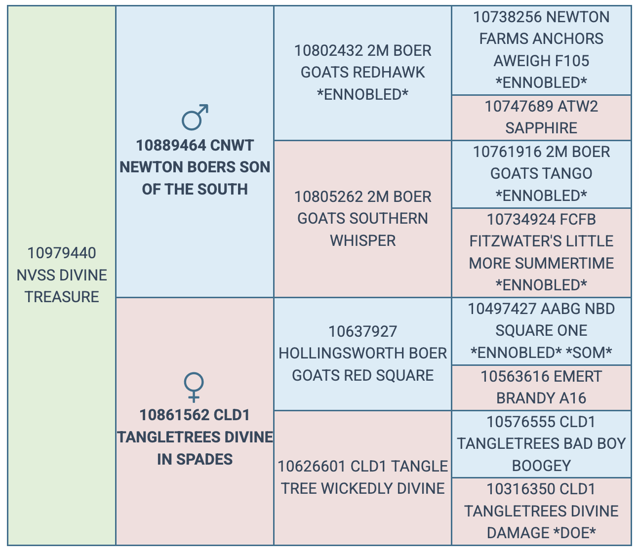 Screenshot 2025-08-05 at 9.18.35 AM