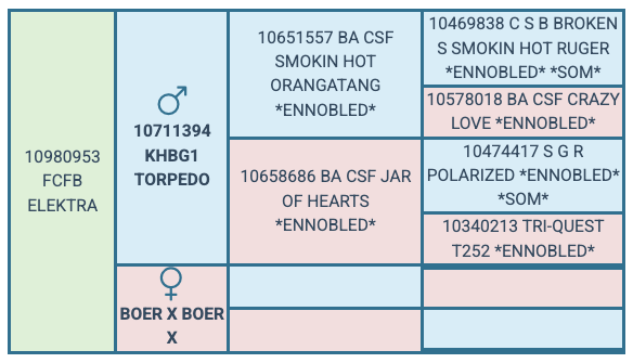 Screenshot 2025-08-06 at 11.37.38 AM