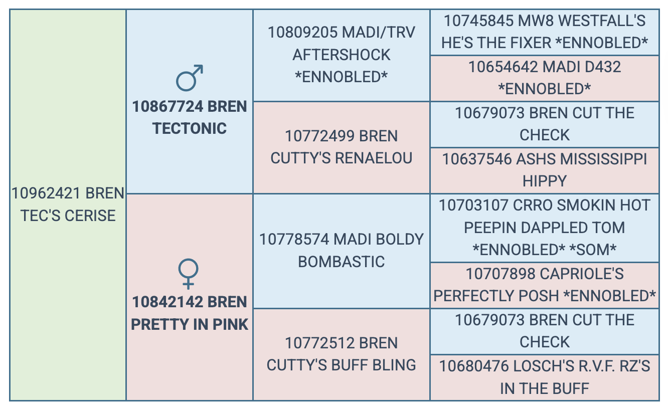 Screenshot 2025-08-07 at 1.15.04 AM