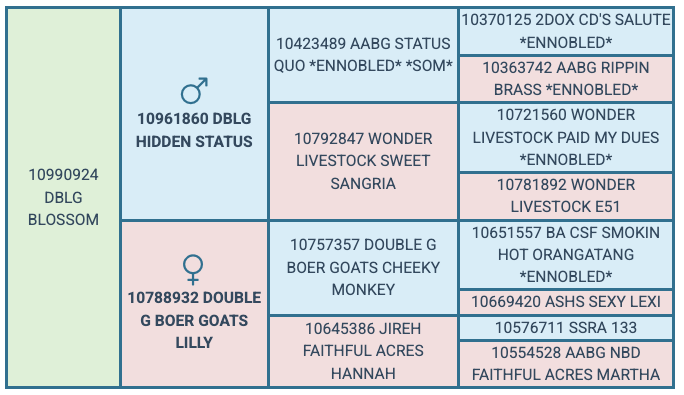 Screenshot 2025-08-07 at 1.35.33 PM