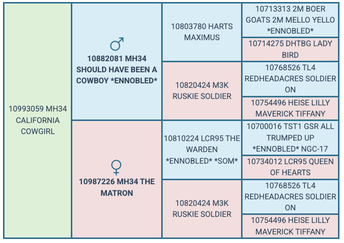 Screenshot 2025-08-07 at 1.40.00 PM