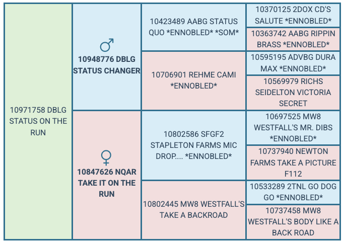 Screenshot 2025-08-07 at 1.48.38 PM