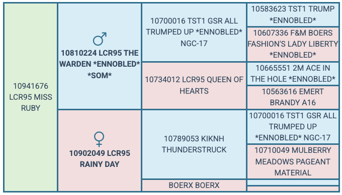 Screenshot 2025-08-07 at 2.06.39 PM