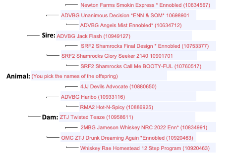 Screenshot 2025-08-07 at 2.33.19 PM