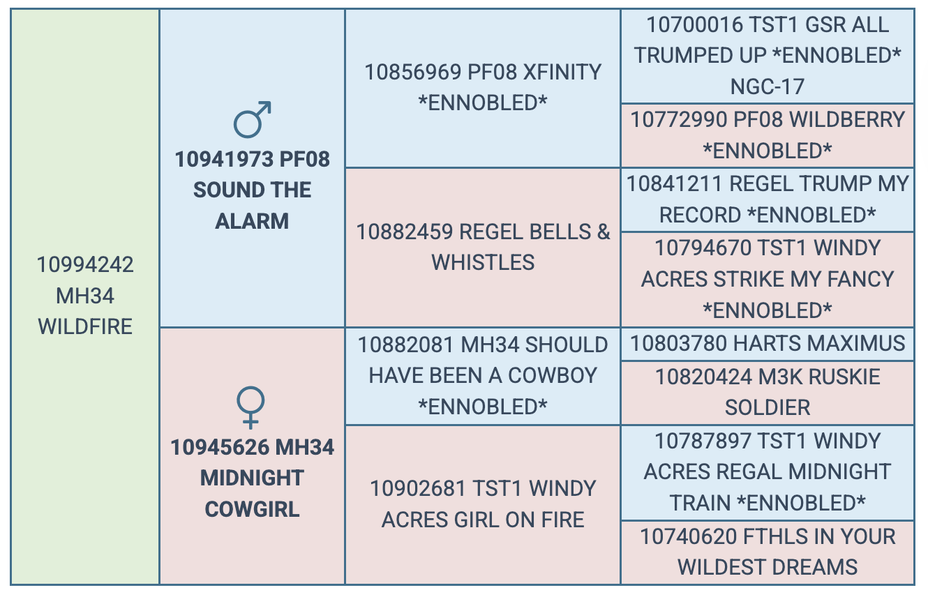 Screenshot 2025-08-09 at 10.23.22 PM