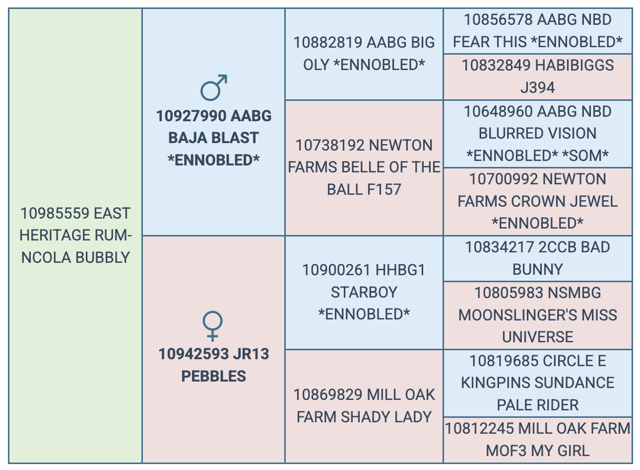 Screenshot 2025-08-09 at 10.28.51 PM