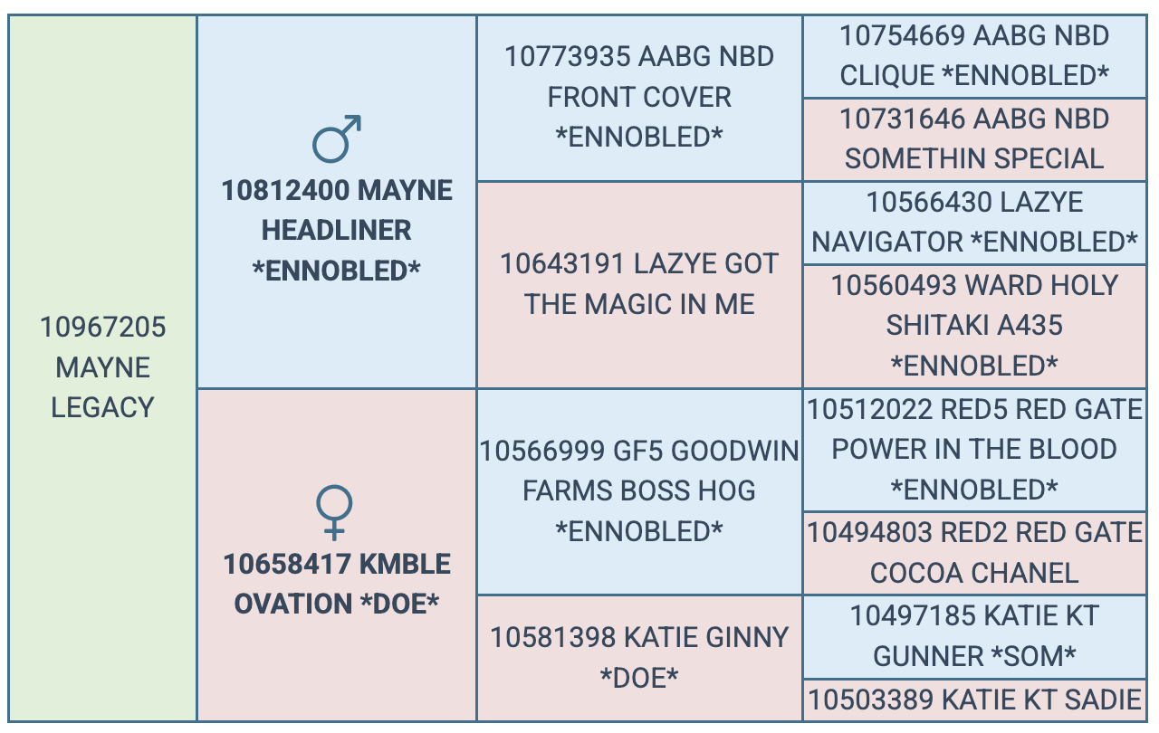 Screenshot 2025-08-09 at 10.32.15 PM