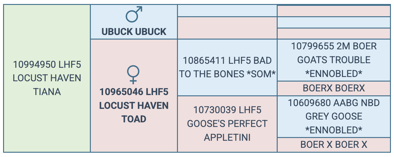 Screenshot 2025-08-09 at 11.25.49 PM