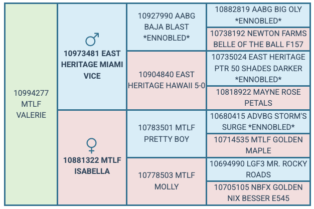 Screenshot 2025-08-12 at 2.47.06 PM
