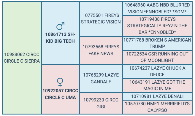 Screenshot 2025-08-12 at 3.23.23 PM