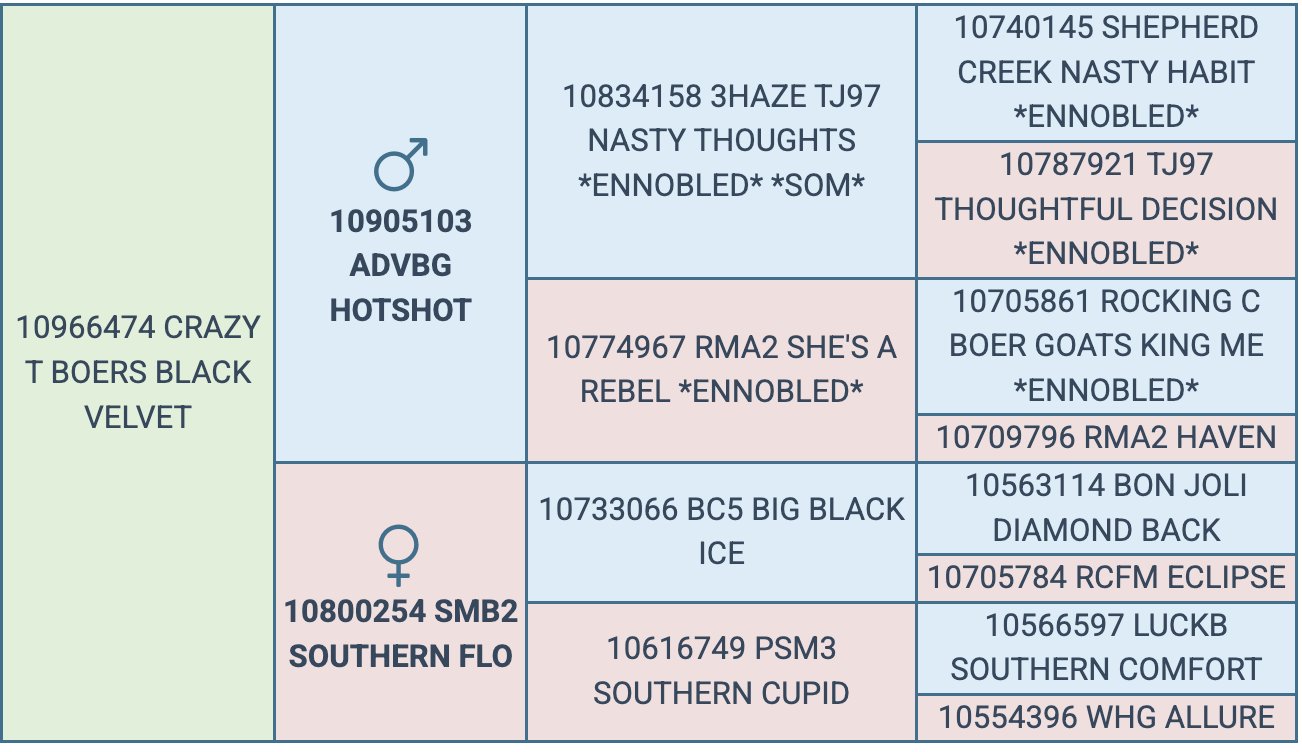 Screenshot 2025-08-14 at 8.46.22 PM