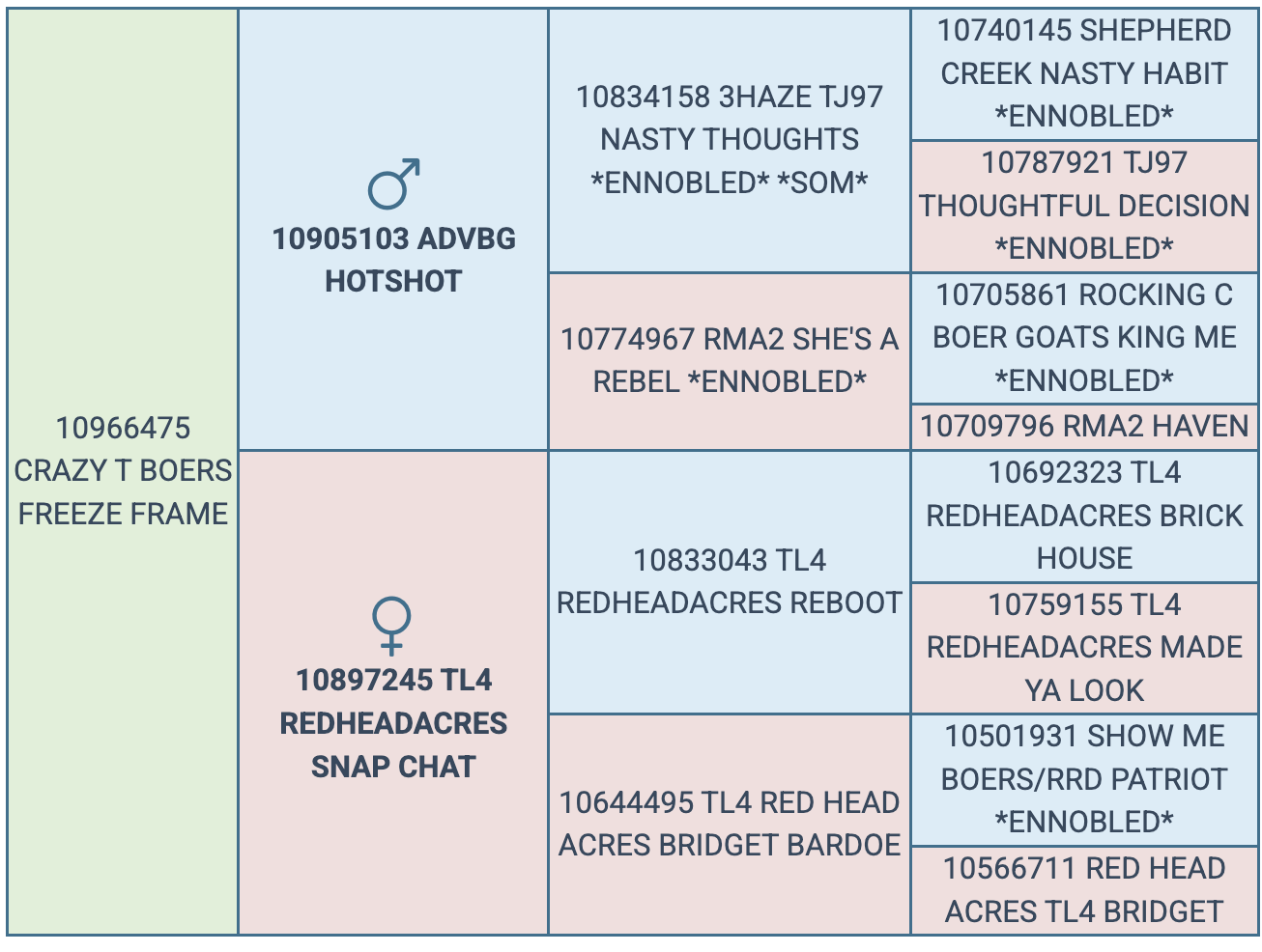 Screenshot 2025-08-14 at 8.53.55 PM