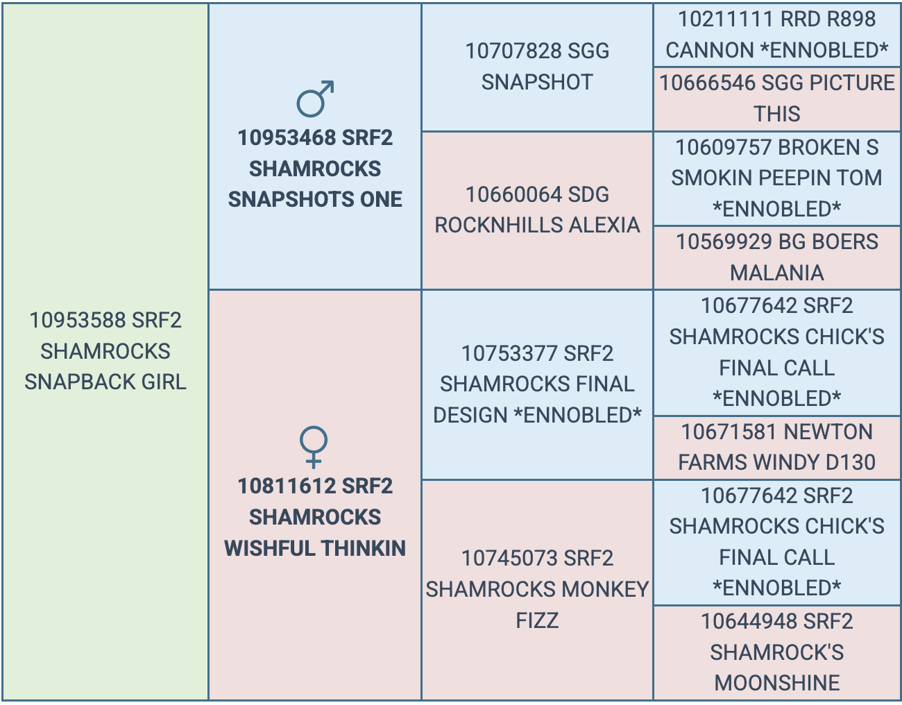 Screenshot 2025-08-14 at 9.01.42 PM