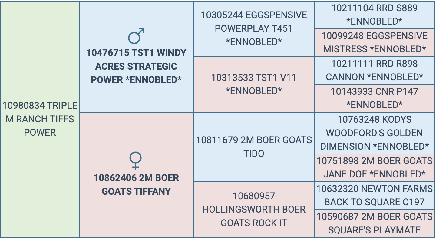 Screenshot 2025-08-14 at 9.09.51 PM