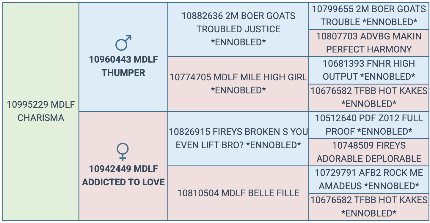 Screenshot 2025-08-14 at 9.44.27 PM