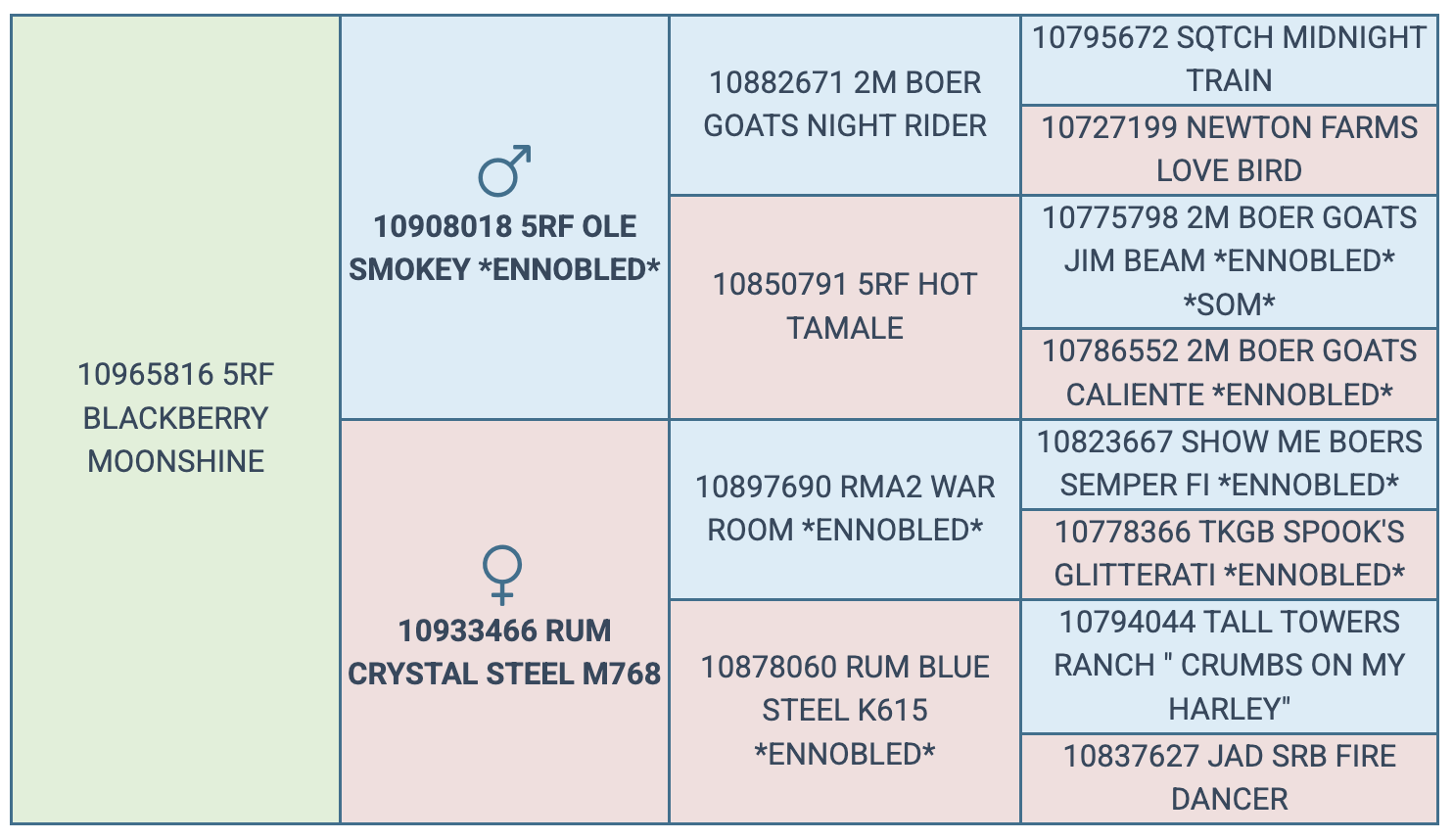Screenshot 2025-08-16 at 11.10.45 AM