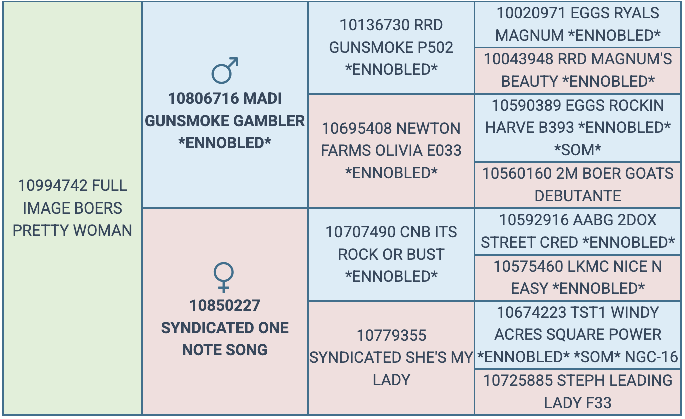 Screenshot 2025-08-21 at 12.01.14 AM