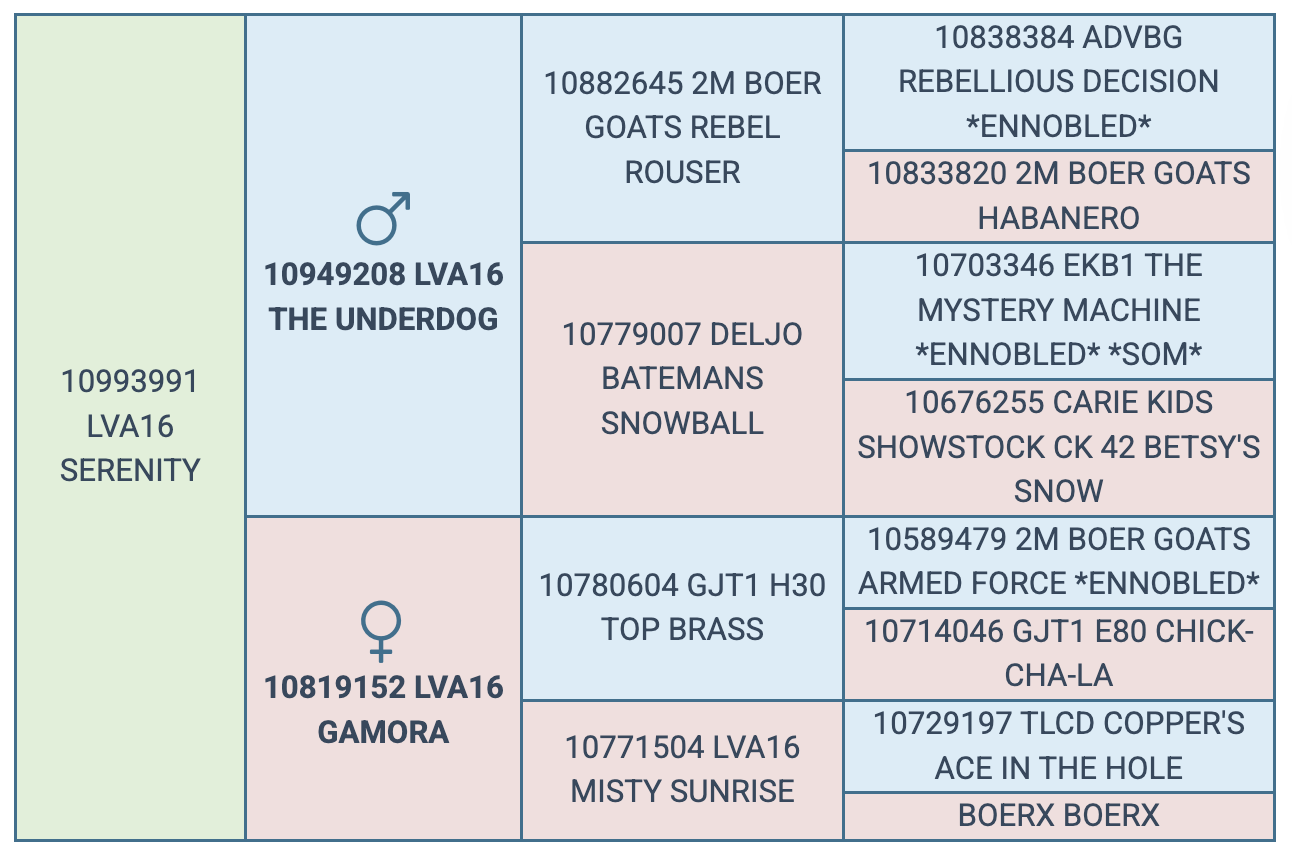 Screenshot 2025-08-23 at 10.52.08 PM