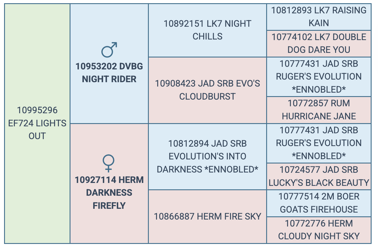 Screenshot 2025-08-23 at 10.53.48 PM