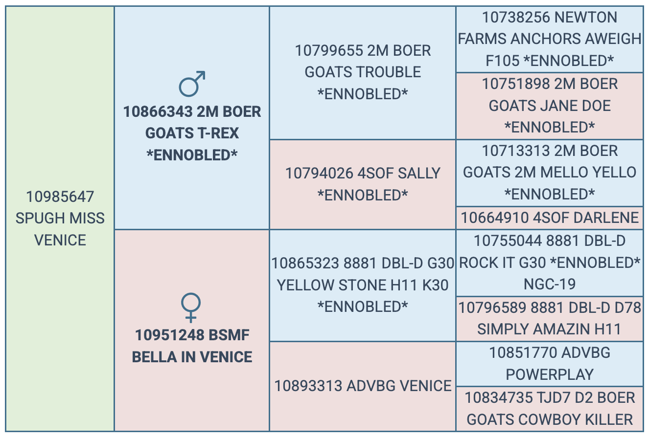 Screenshot 2025-08-24 at 7.52.51 PM