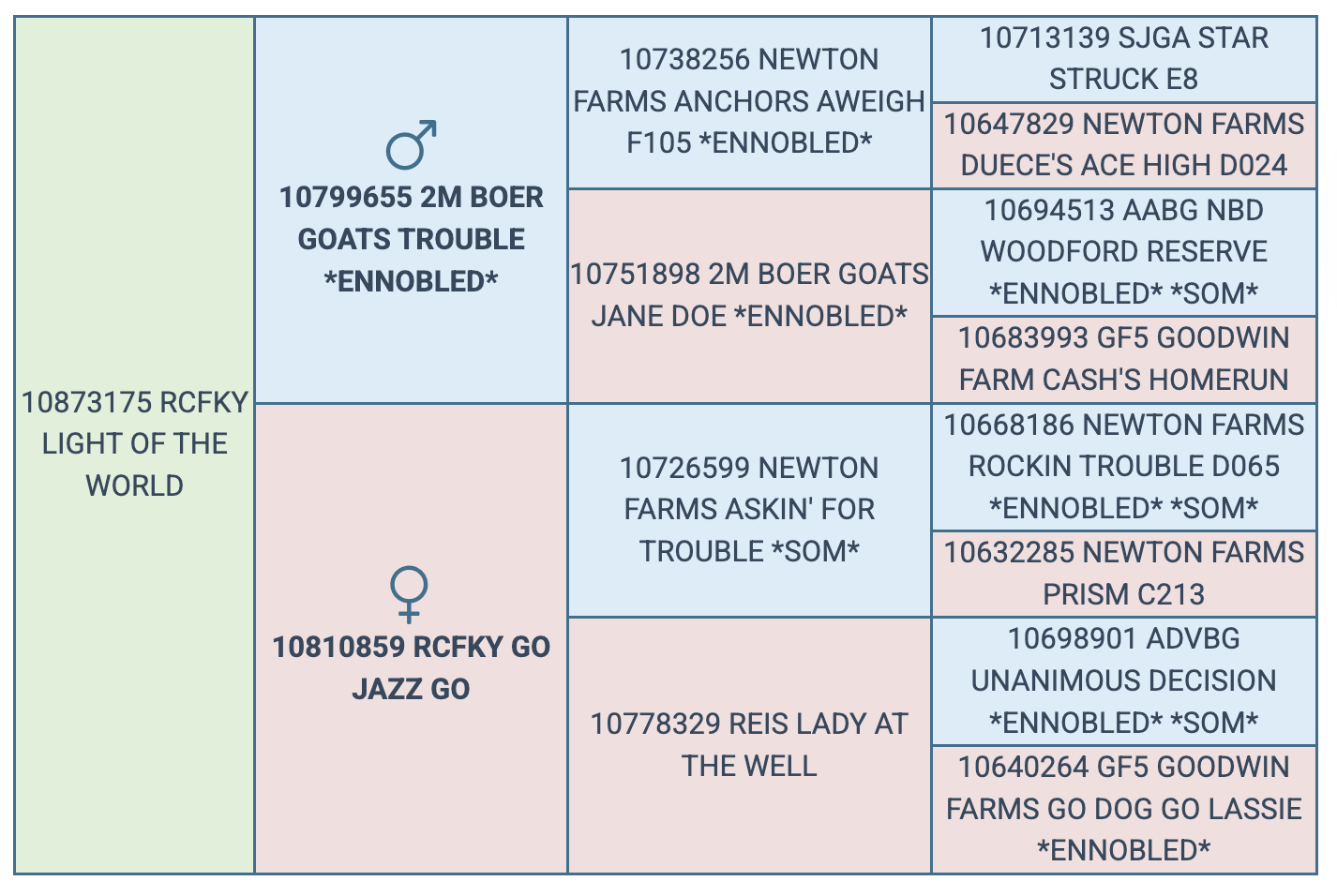 Screenshot 2025-08-24 at 8.01.26 PM