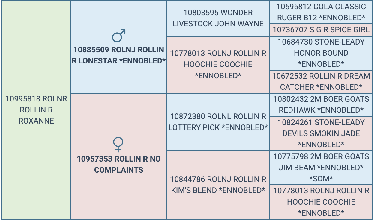 Screenshot 2025-08-26 at 1.09.26 PM