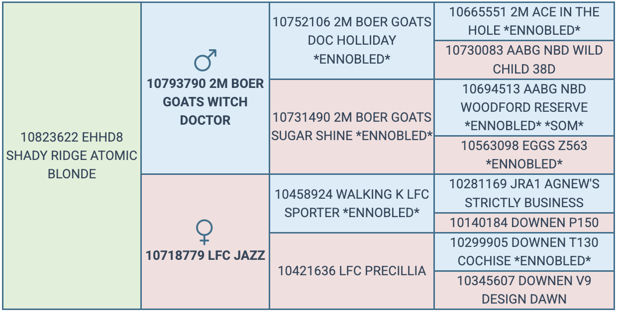 Screenshot 2025-08-31 at 9.32.22 AM