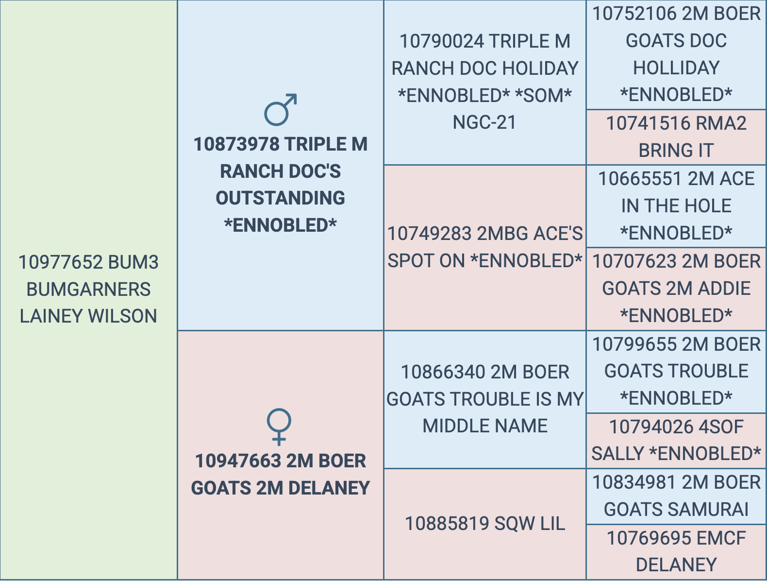 Screenshot 2025-09-02 at 11.05.33 PM