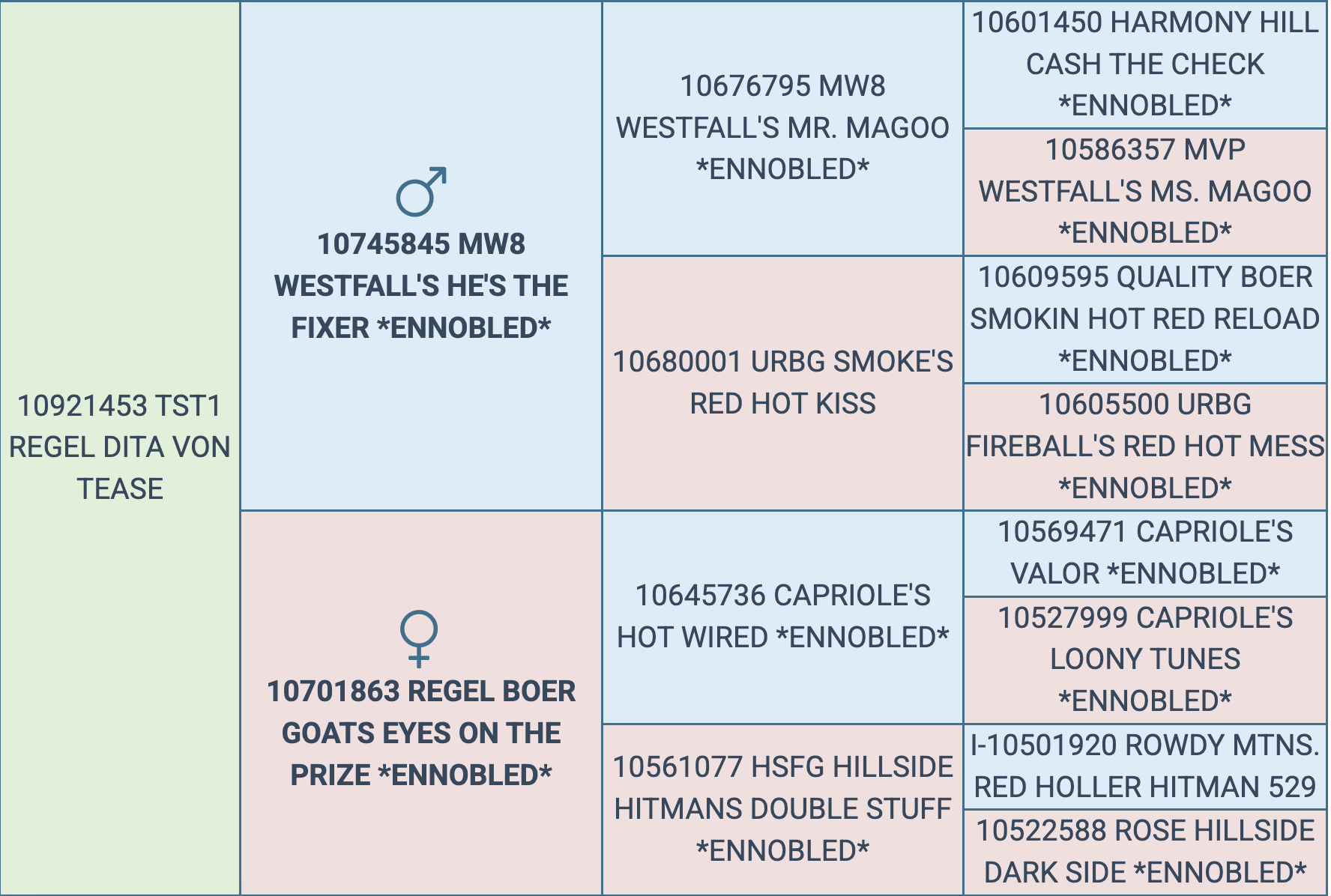 Screenshot 2025-09-04 at 11.20.24 PM