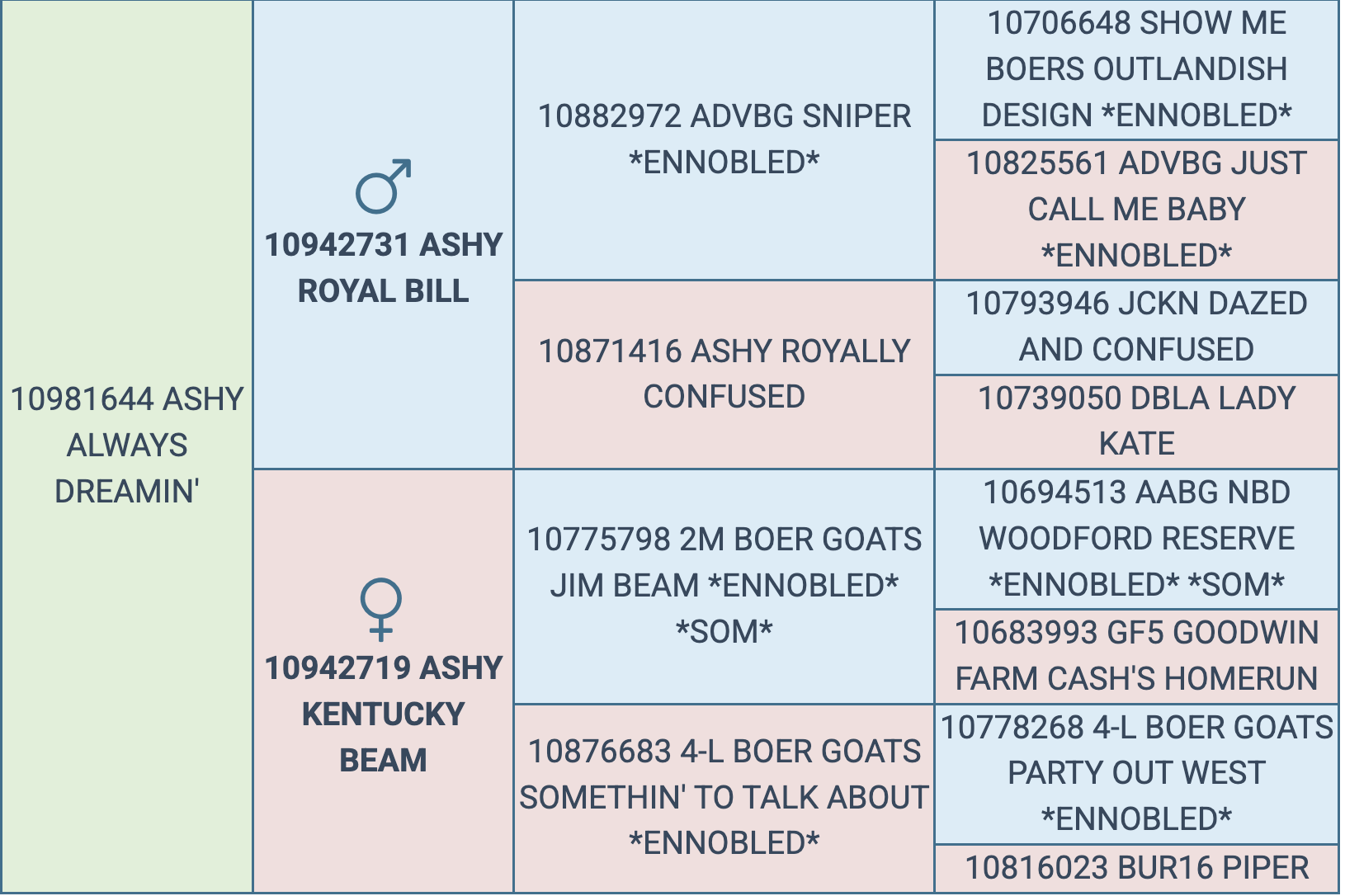 Screenshot 2025-09-06 at 1.47.49 PM