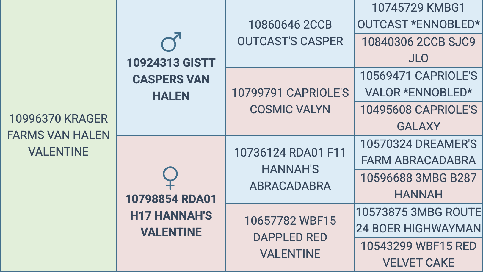 Screenshot 2025-09-06 at 2.00.01 PM