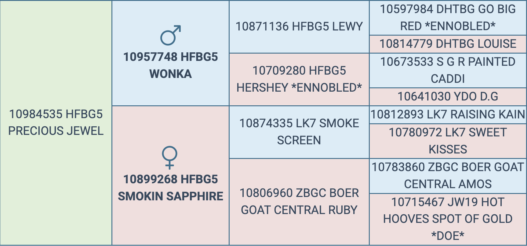 Screenshot 2025-09-06 at 4.46.57 PM