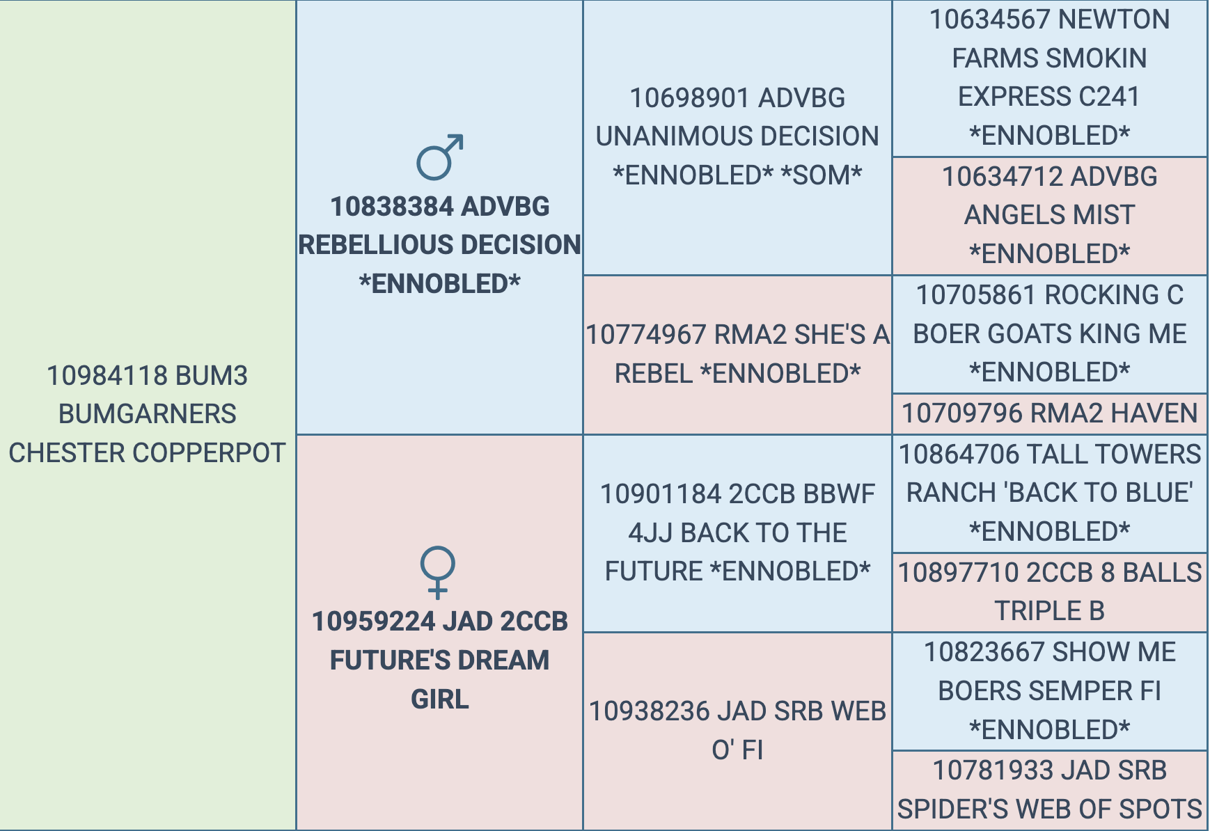 Screenshot 2025-09-06 at 8.11.31 AM