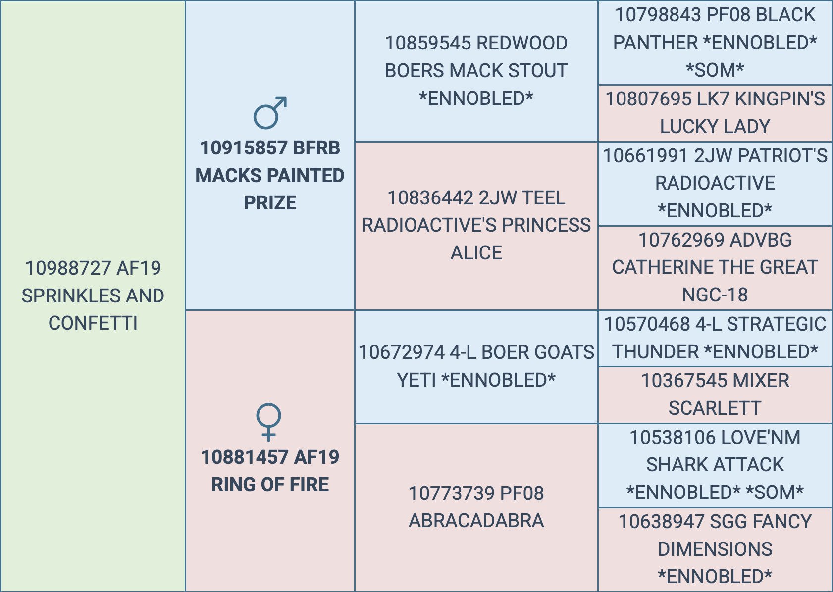 Screenshot 2025-09-08 at 8.02.56 PM