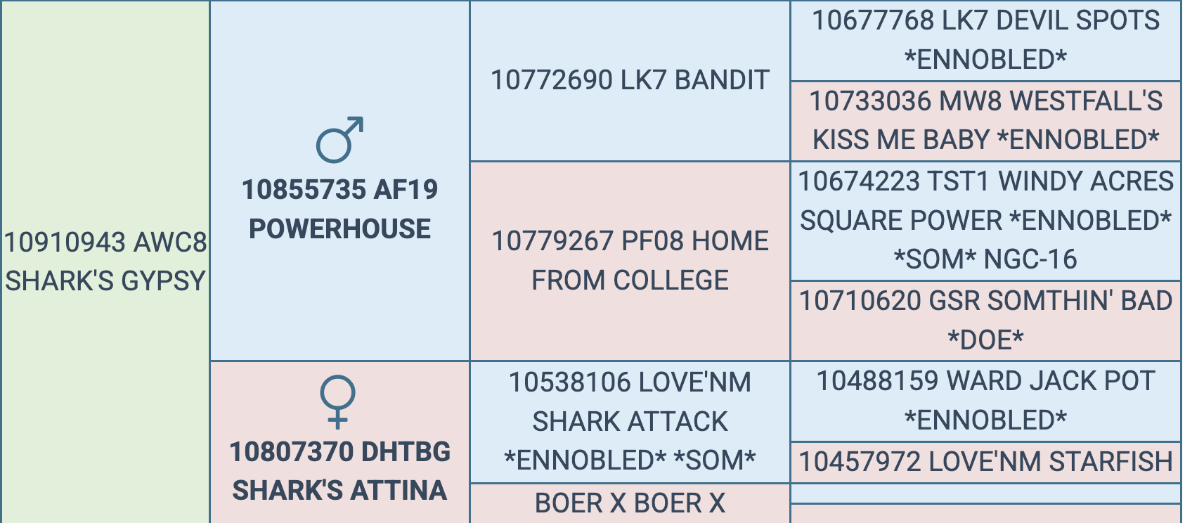 Screenshot 2025-09-08 at 8.08.02 PM