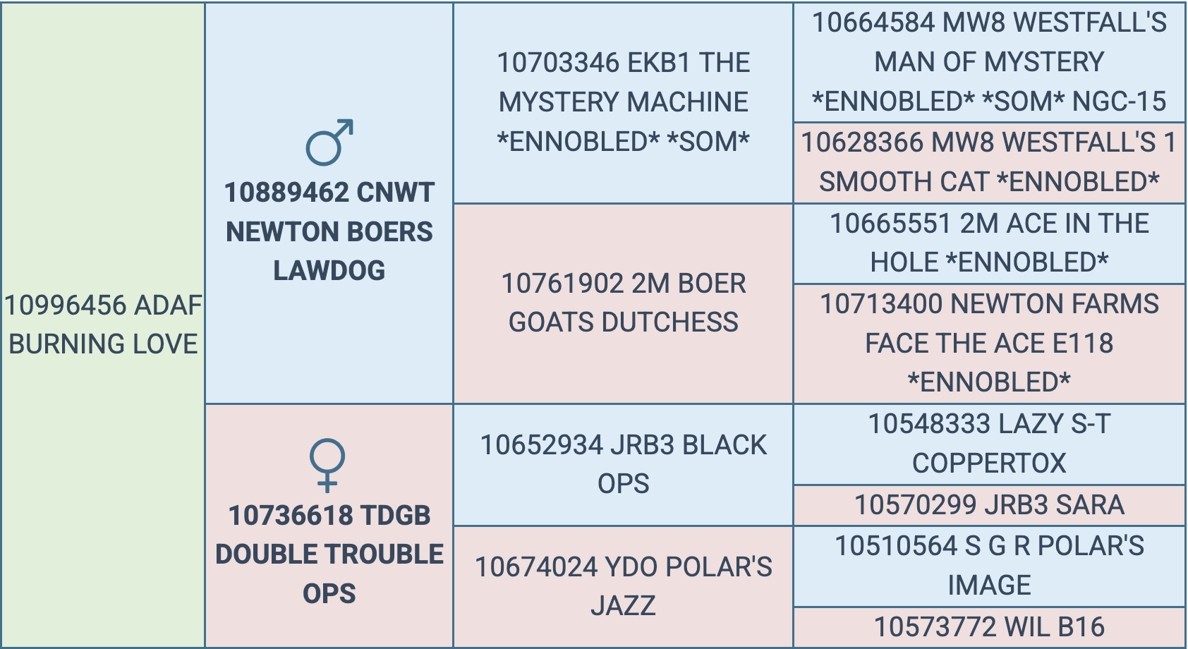 Screenshot 2025-09-08 at 8.29.38 PM