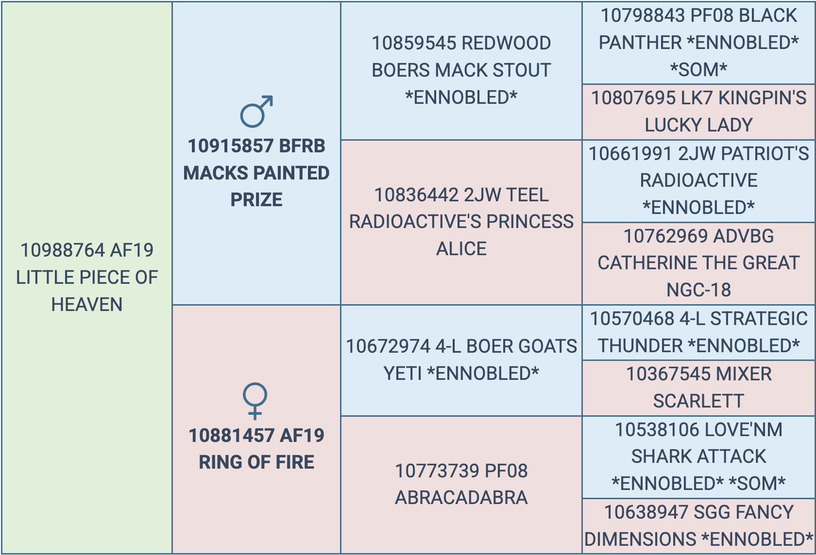 Screenshot 2025-09-09 at 11.20.54 AM