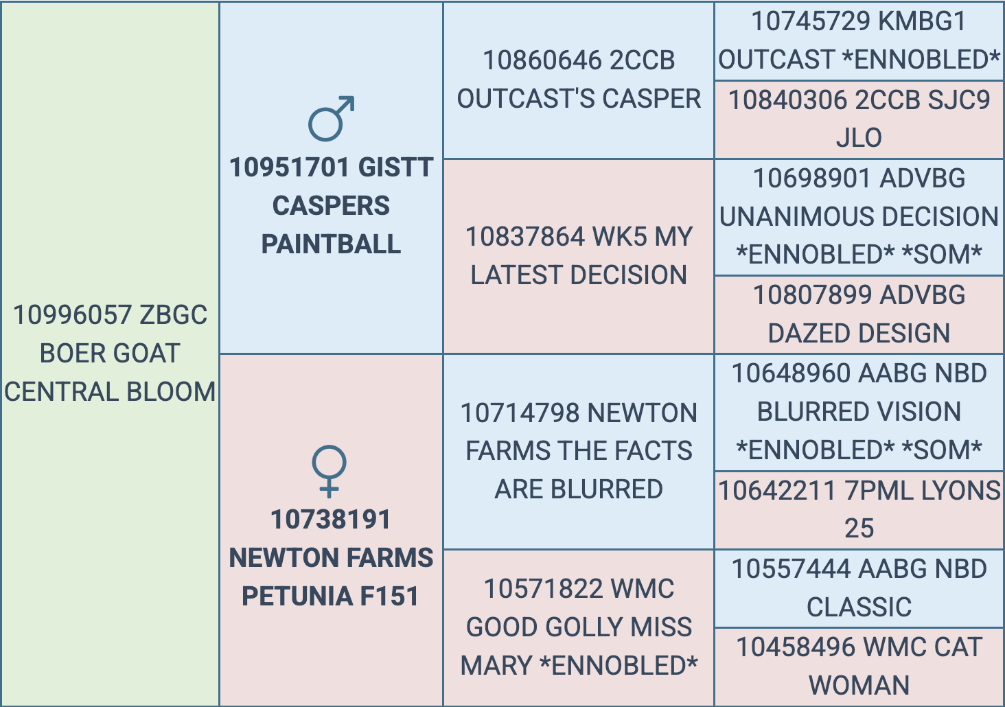 Screenshot 2025-09-09 at 2.32.17 PM