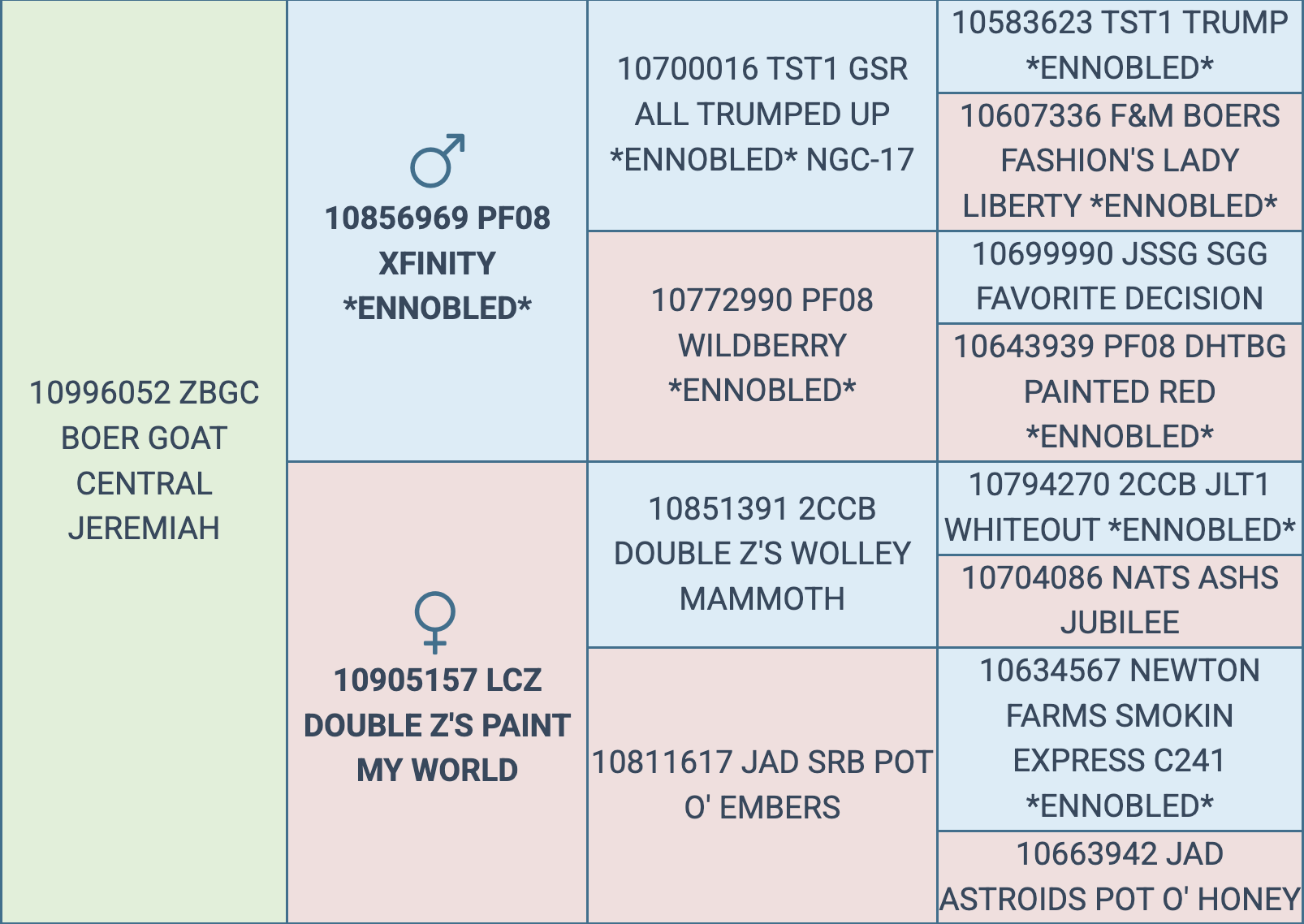 Screenshot 2025-09-09 at 3.18.36 PM