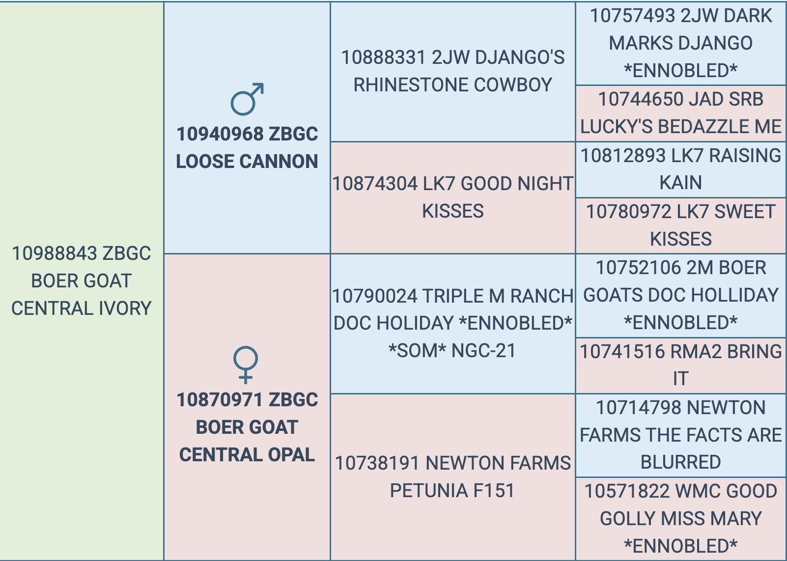 Screenshot 2025-09-09 at 3.25.11 PM