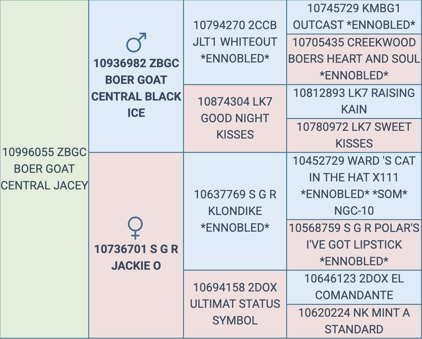 Screenshot 2025-09-09 at 3.32.28 PM