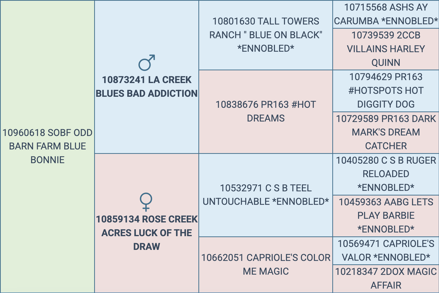 Screenshot 2025-09-09 at 3.40.22 PM