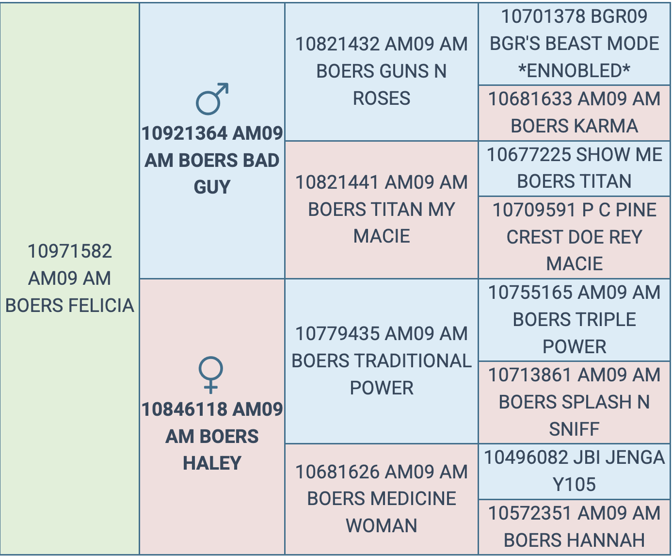 Screenshot 2025-09-10 at 6.10.48 PM