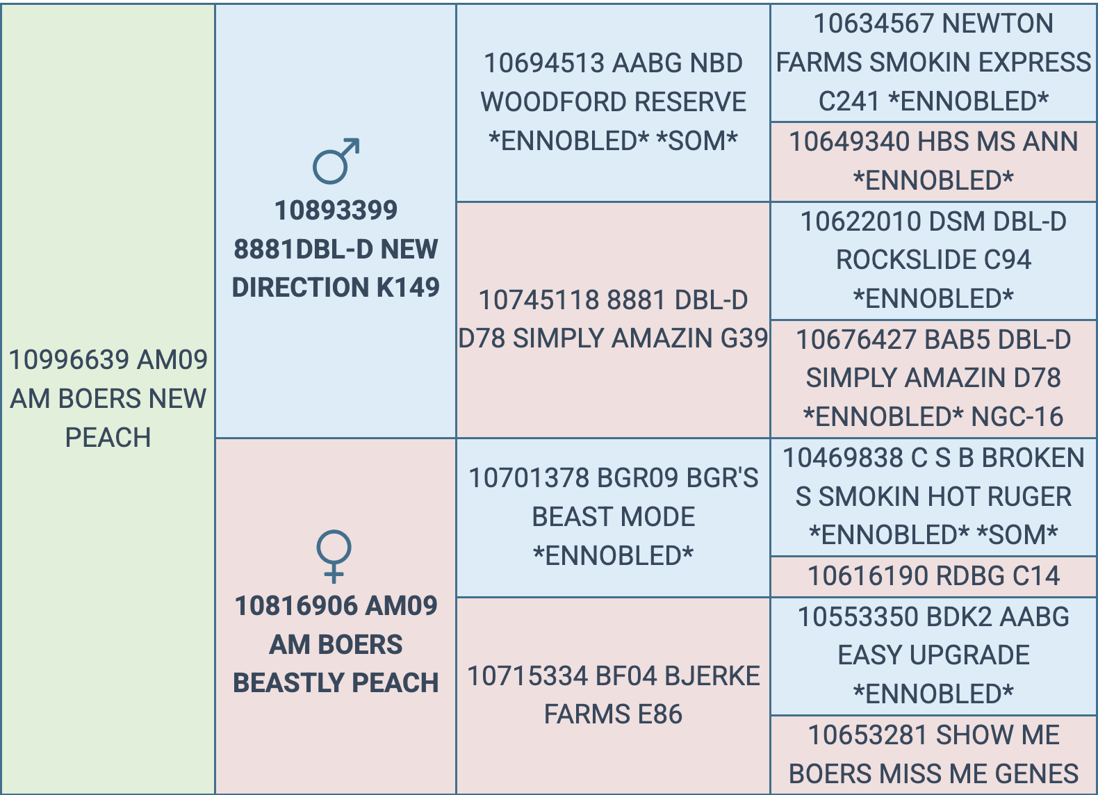 Screenshot 2025-09-10 at 6.19.23 PM